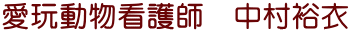 ߓŌt@T
